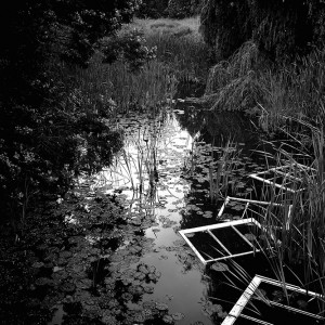'A Creek in Frame,' by Kristy Williams.